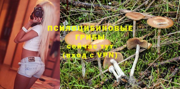амфетамин Каменногорск