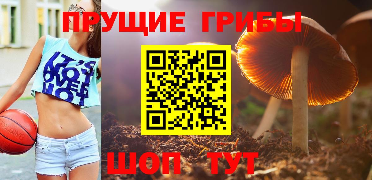 Псилоцибиновые грибы GOLDEN TEACHER Кирово-Чепецк